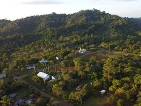 Hutan Tompotika. Foto: Jatam Sulteng