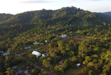 Hutan Tompotika. Foto: Jatam Sulteng
