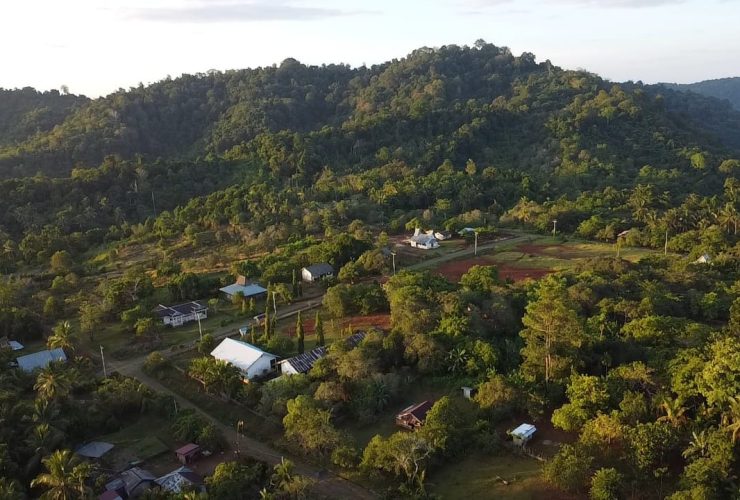 Hutan Tompotika. Foto: Jatam Sulteng