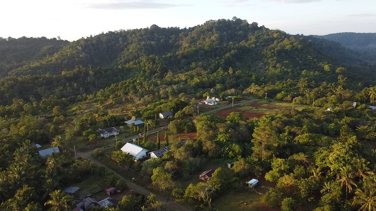 Hutan Tompotika. Foto: Jatam Sulteng