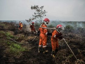TIm Cegah Api Karhutla Greenpeace. (Foto: Rendra Hernawan - Greenpeace)