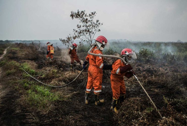TIm Cegah Api Karhutla Greenpeace. (Foto: Rendra Hernawan - Greenpeace)