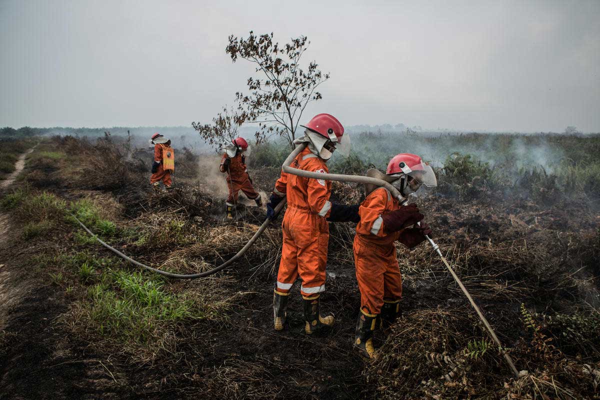 TIm Cegah Api Karhutla Greenpeace. (Foto: Rendra Hernawan - Greenpeace)